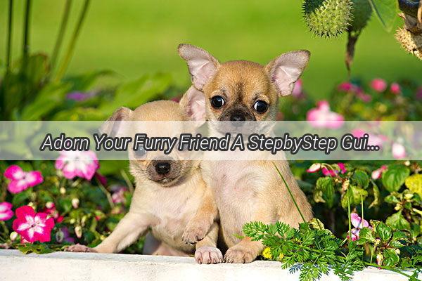 Adorn Your Furry Friend A StepbyStep Guide to Styling a Headpiece for Your Dog